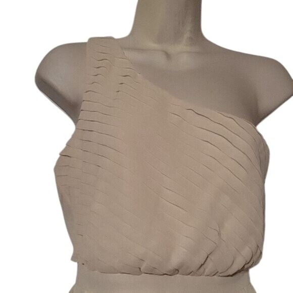 One-Shoulder Beige Pleated Chiffon Dress By Francescas - Picture 2 of 7